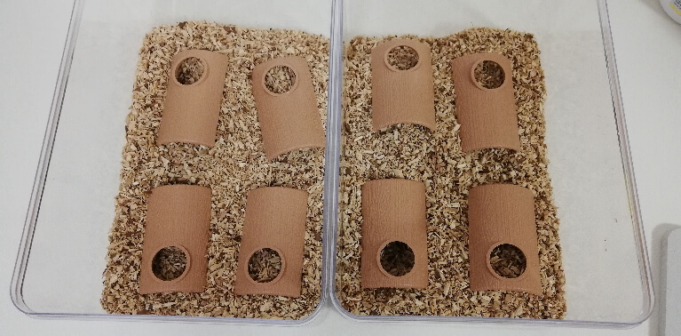 転倒防止用の枝木